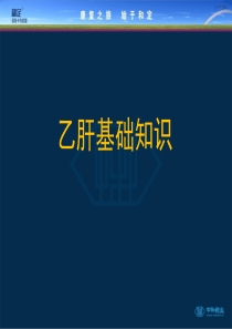 乙肝基础知识