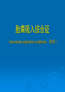 新生儿胎粪吸入综合征分析