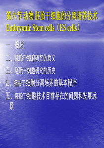 胚胎肝细胞