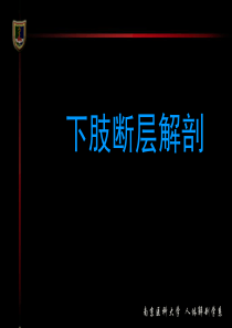 下肢断层解剖