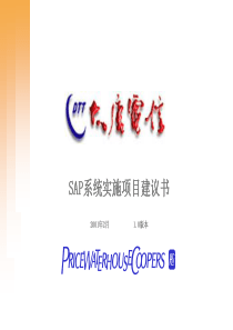 PWC给大唐电讯的SAP系统实施项目建议书