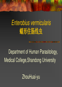 人体寄生虫学――蛲虫旋毛虫
