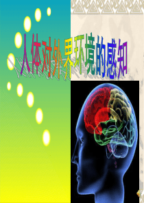 人体对外界环境的感知1
