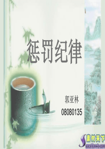 惩罚纪律