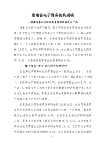 湖南省电子商务初具规模doc-湖南省电子商务快速发展