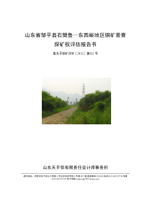 山东省邹平县石樊鲁–东西峪地区铜矿普查探矿权评估报告