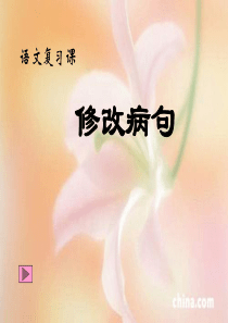 四年级语文句子复习1：修改病句ppt