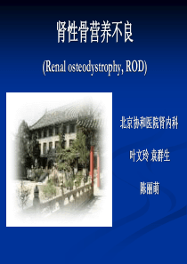 肾性骨营养不良final