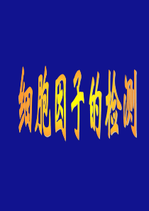 细胞因子的检测