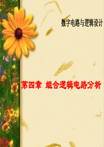 5-第四章 组合逻辑电路分析