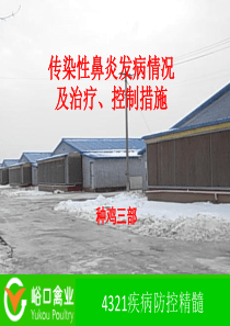 鼻炎发病情况及治疗、控制措施