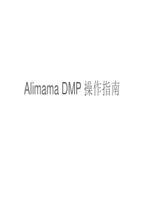 DMP定向