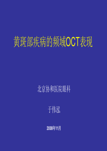 OCT在眼底病诊断中的应用 于伟泓