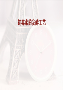 链霉素发酵提取工艺