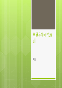 直通车争对性培训(自己)