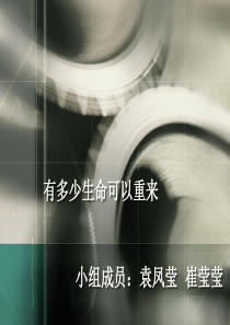 关注动物
