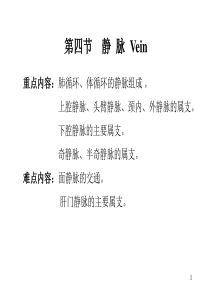 96静脉