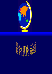 骨骼肌肉系统-检查技术