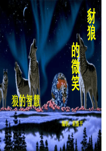 狼的智慧1