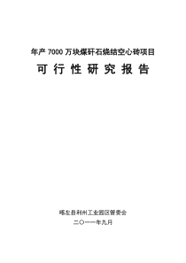 年产7000万块煤矸石烧结空心砖项目可行性研究报告