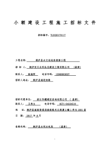 小额建设工程施工招标文件