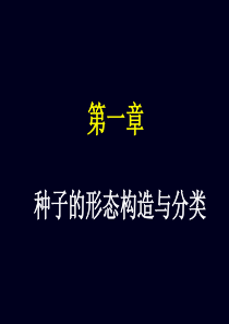 种子形态与分类