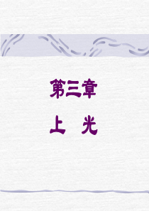 上光