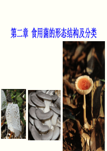 第2章 食用菌的形态构造与分类-2