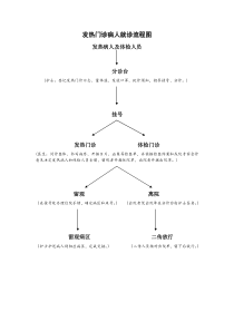 发热门诊病人就诊流程图