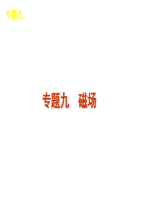 2012届高考物理二轮复习方案 专题9 磁场课件 新课标