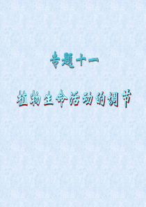 2012届高考生物二轮总复习专题导练(江苏专版)课件：专题11 植物生命活动的调节