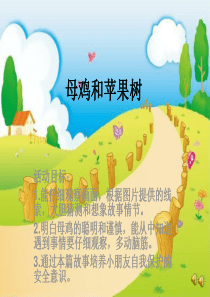 大班语言精美PPT：母鸡和苹果树
