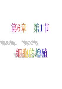 90细胞的增殖(有动画)