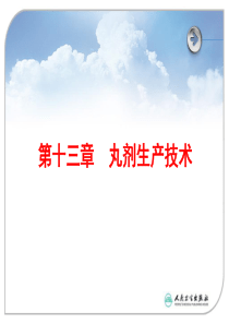 第十三章丸剂生产技术..
