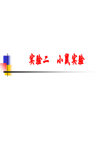小鼠实验
