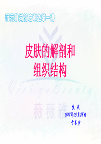 第一讲-皮肤的解剖和组织结构