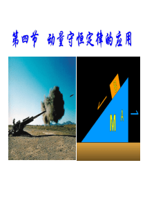 动量守恒定律典型模型模板