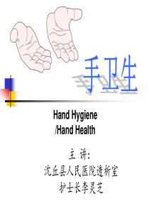 29手卫生课件