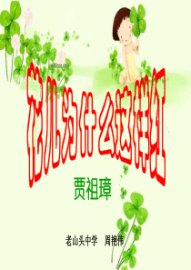 花儿为什么这样红课件