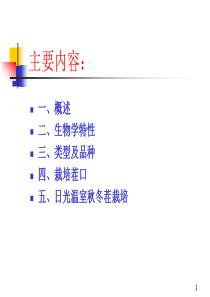 设施芹菜栽培技术