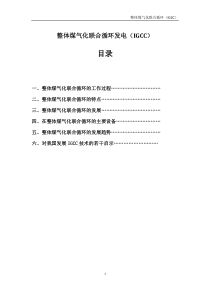整体煤气化联合循环发电(IGCC)