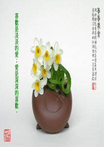 水仙花与人生