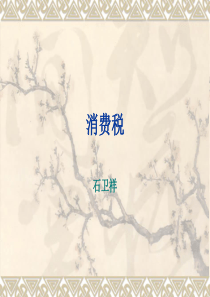 消费税 (1).