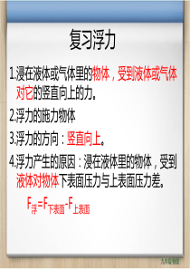 九年级14.5(下)浮力 阿基米德原理(含flash)