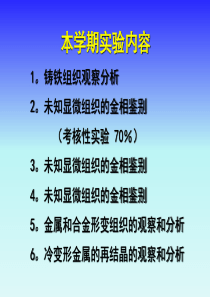 铁碳合金(铸铁)