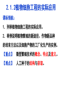 2.1.2 植物细胞工程的实际应用