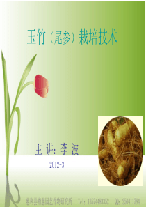 玉竹(尾参)栽培