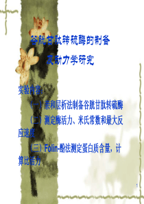 谷胱甘肽转硫酶的制备及动力学研究