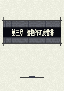 植物生理学_03矿质营养