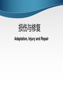 病理――损伤与修复